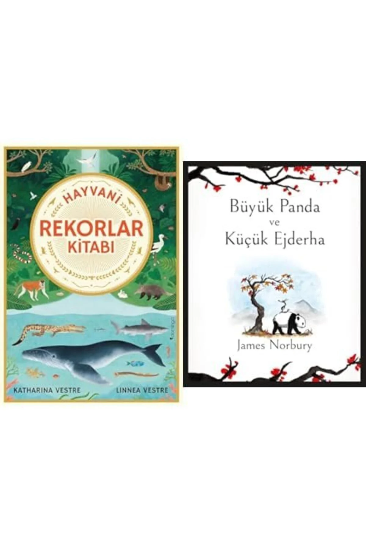 hayvani rekorlar kitabi + buyuk panda ve kucuk ejderha=(2 kitap)