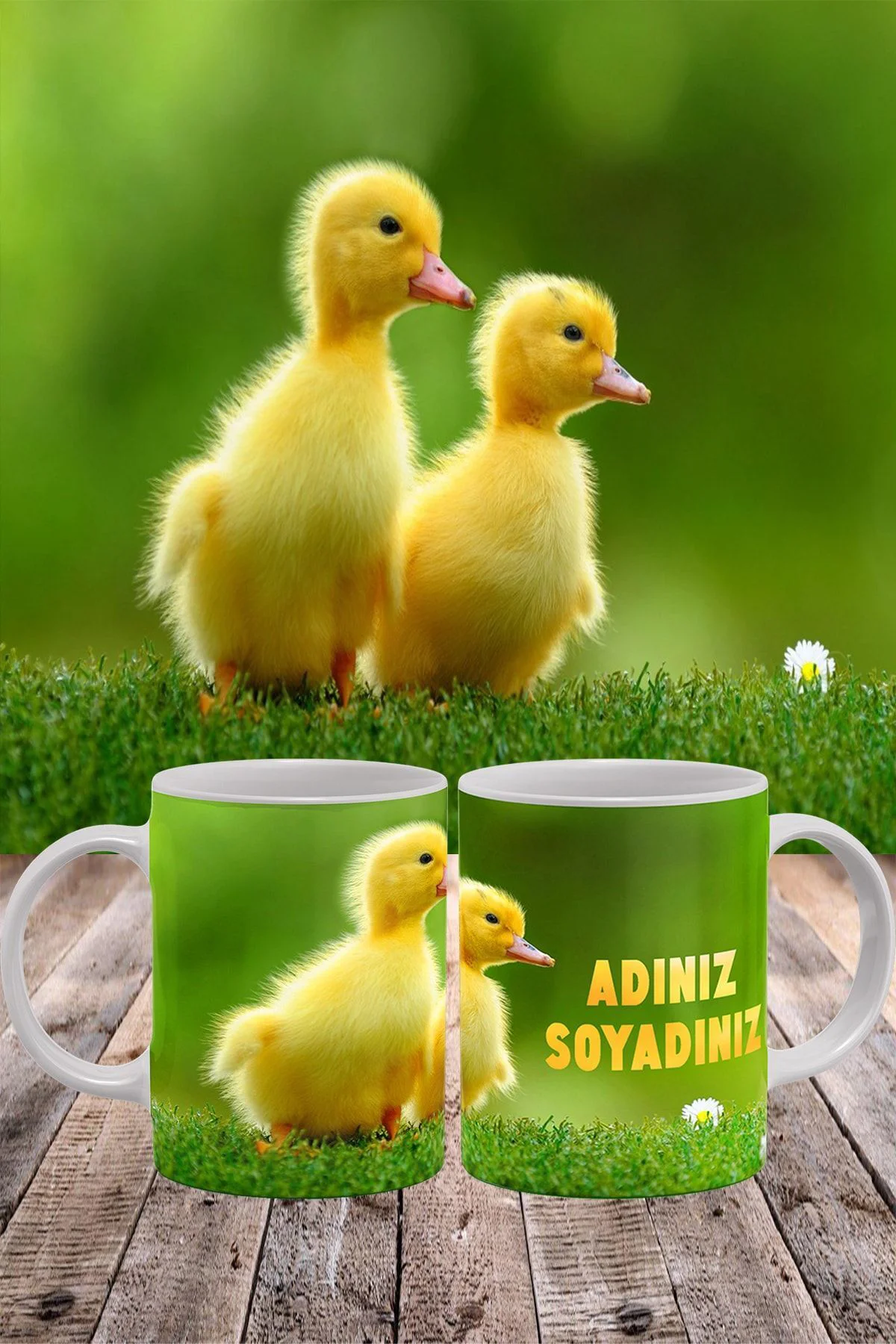 Hayvanlar Alemi Serisi, Ördek Resimli, Kişiye Özel Isimli Porsele Hayvanlar Alemi Serisi, Ördek Resimli, Kişiye Özel Isimli Porsele