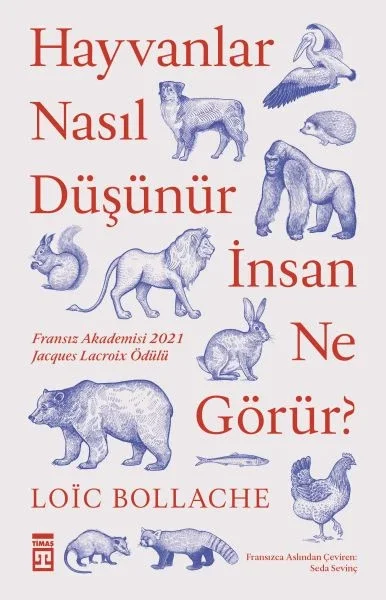Hayvanlar Nasıl Düşünür İnsanlar Ne Görür? Fiyatı, Yorumları ve Özellikleri