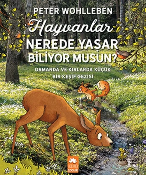 Hayvanlar Nerede Yaşar Biliyor Musun? Fiyatı, Yorumları ve Özellikleri