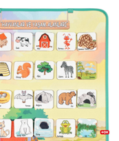 Hayvanlar ve Yaşam Alanları Keçe Cırtlı Duvar Panosu , Eğitici Oy