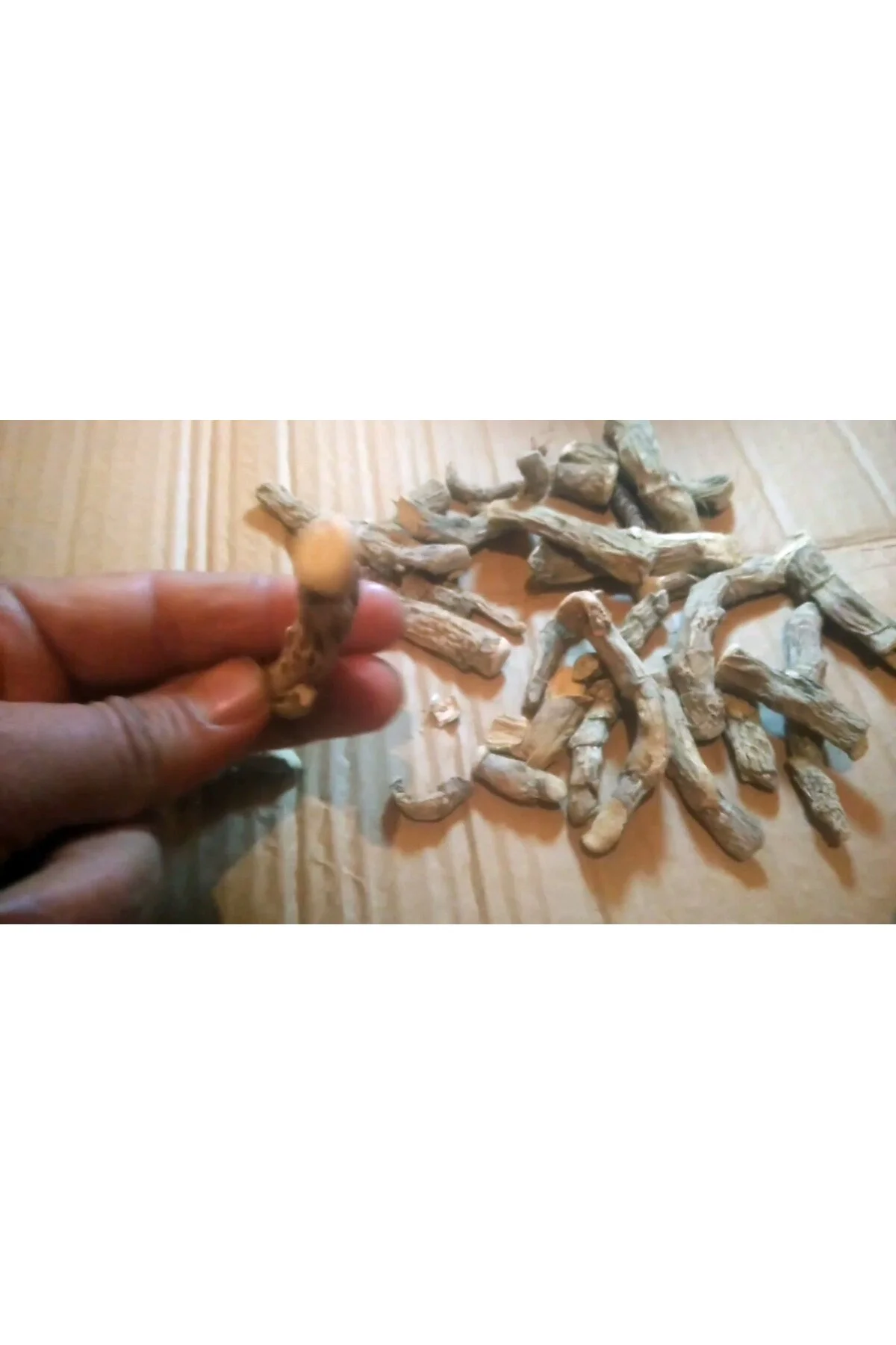 HAZANBEL EĞİR KÖKÜ 1 KG