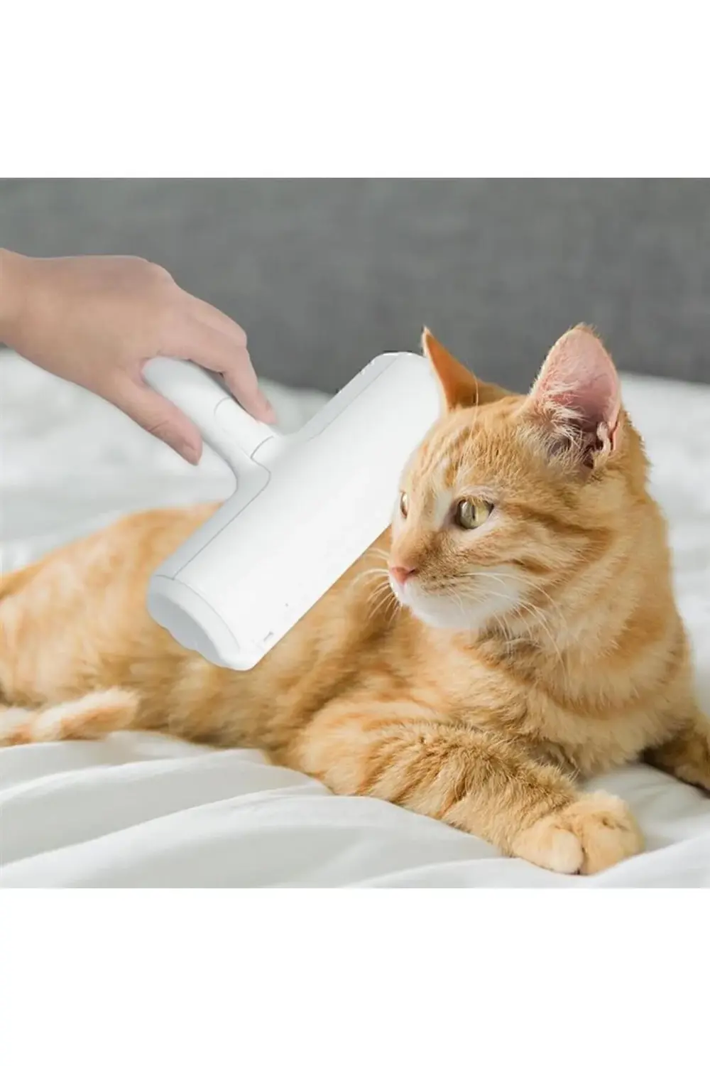 Hazneli Kedi Köpek Kıyafet Kıl Tüy Toz Toplayıcı