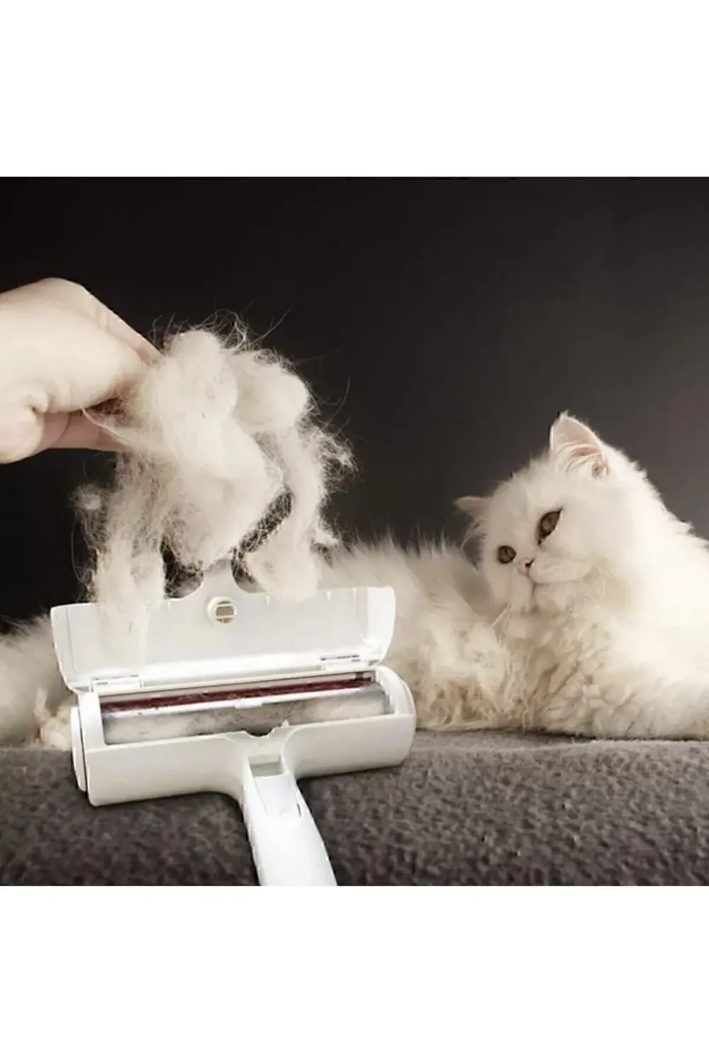 Hazneli Kedi Köpek Kıyafet Kıl Tüy Toz Toplayıcı