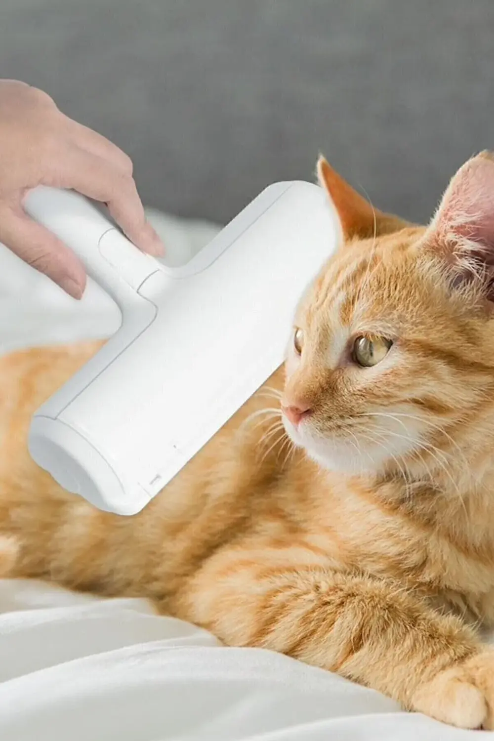 Hazneli Kedi Köpek Tüy Temizleyici Kıl Toz Toplayıcı Kazak Halı T