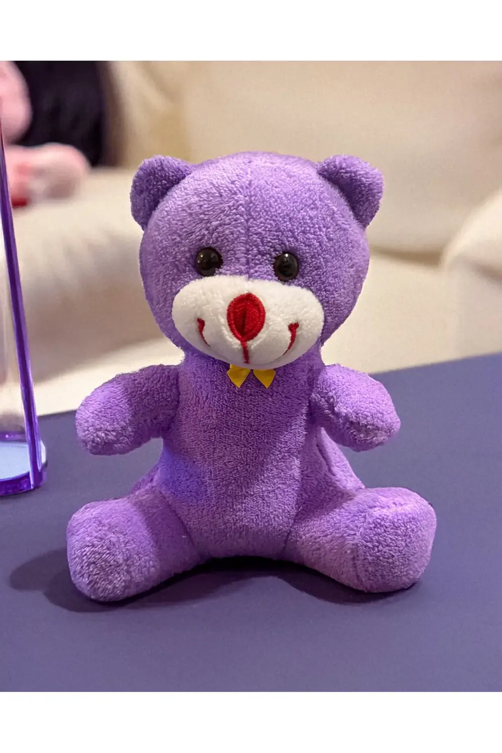 Hediye Kutusunda 25cm Mor Ayıcık ve Çelik Kalp Kolye Sevgiliye He