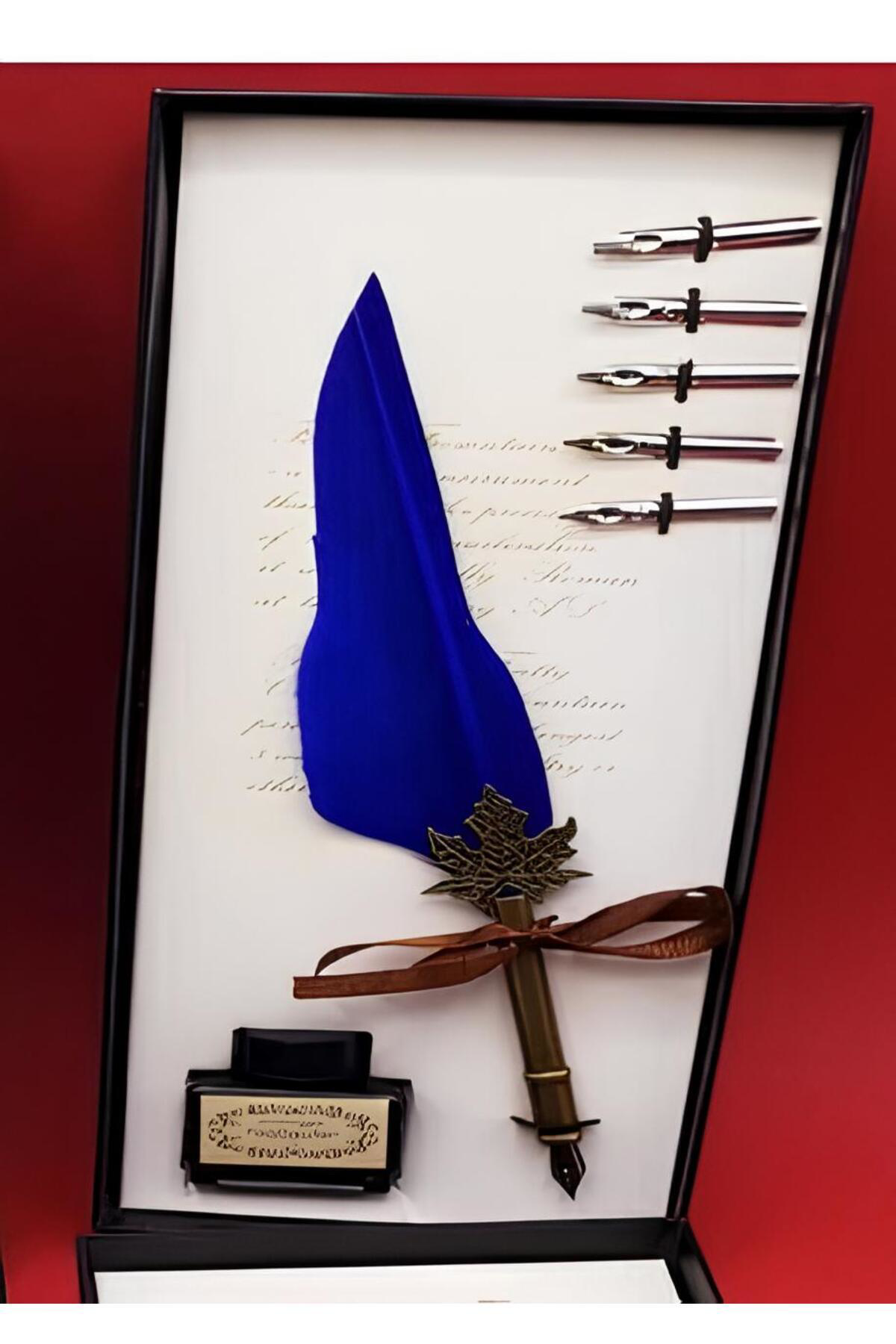 Vision Hediyelik Taçlı Kuş Tüyü Divit Kalem Seti Şarap Seçenekli