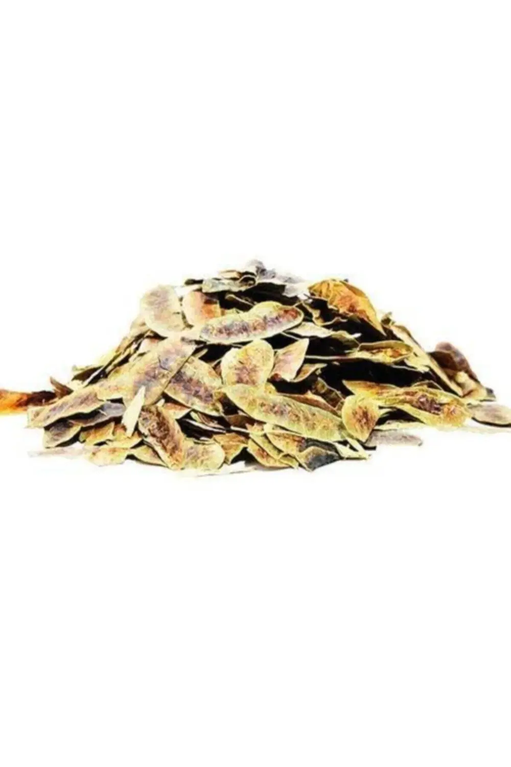 Herbal Vital Açlık Otu Devegözü Aşlıkotu 1 Kg