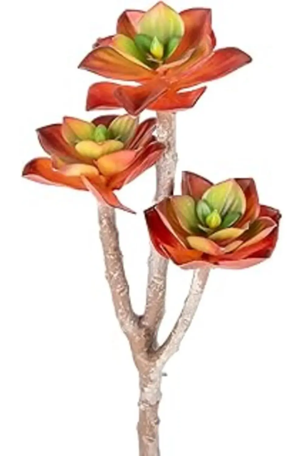 Herdekora Yapay Kaktüs Sukulent Kırmızı 35 Cm