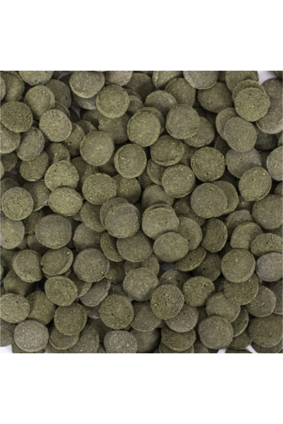 Hi Algae Discs 100 Gr Açık