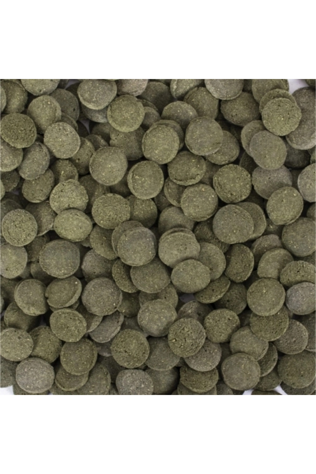 Hi Algae Discs 50 Gr Açık