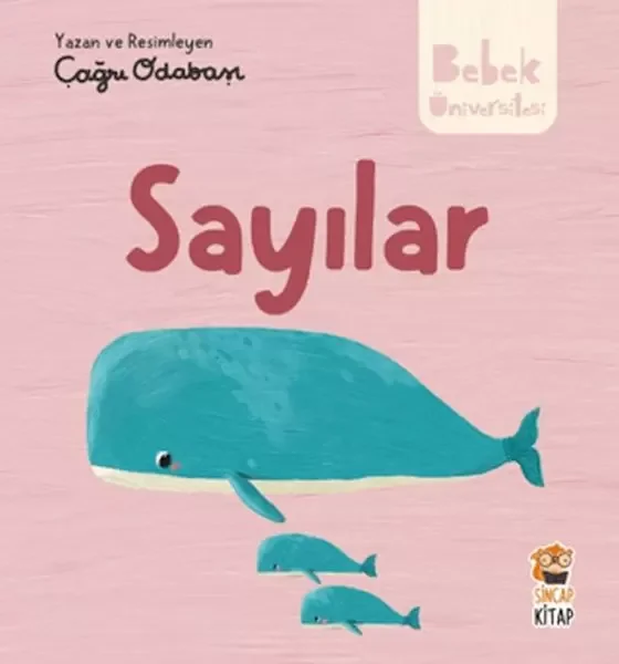 Hikayeli İlk Kavramlarım - Sayılar Fiyatı, Yorumları ve Özellikleri