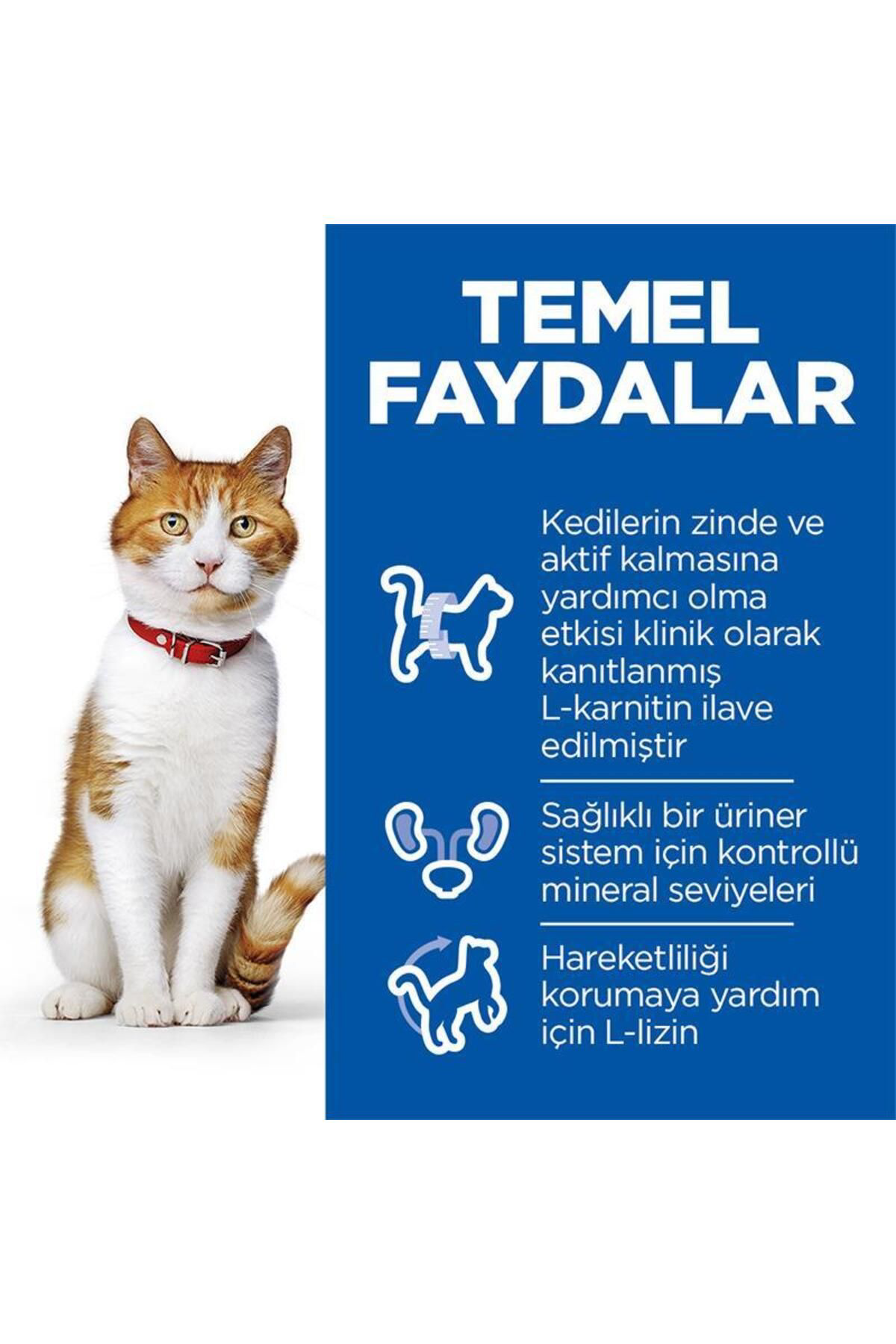 Hill's  Science Plan Somonlu Kısırlaştırılmış Yetişkin Kedi Maması