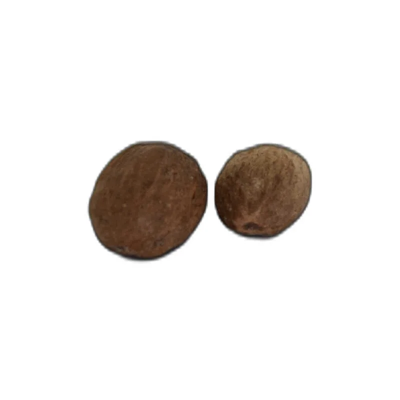 Hint Cevizi Muskat - Doğal Hindistan Cevizi 10 gr Paket Hint Cevizi Muskat - Doğal Hindistan Cevizi 10 gr Paket