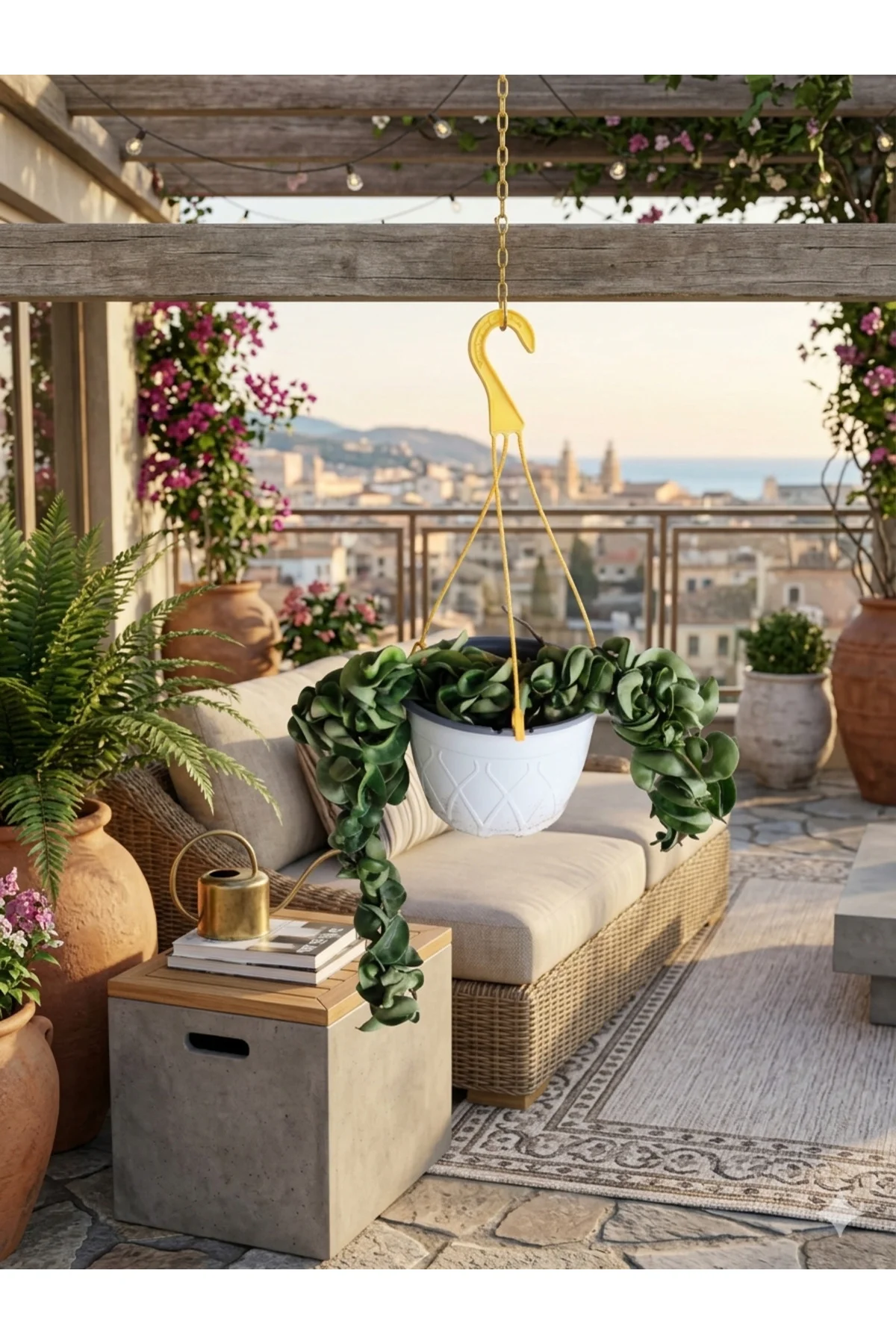 Hint Halatı Mum Çiçeği Hoya Carnosa Compacta - Askılı Saksıda Kıvrımlı Formlu Canlı Salon Bitkisi