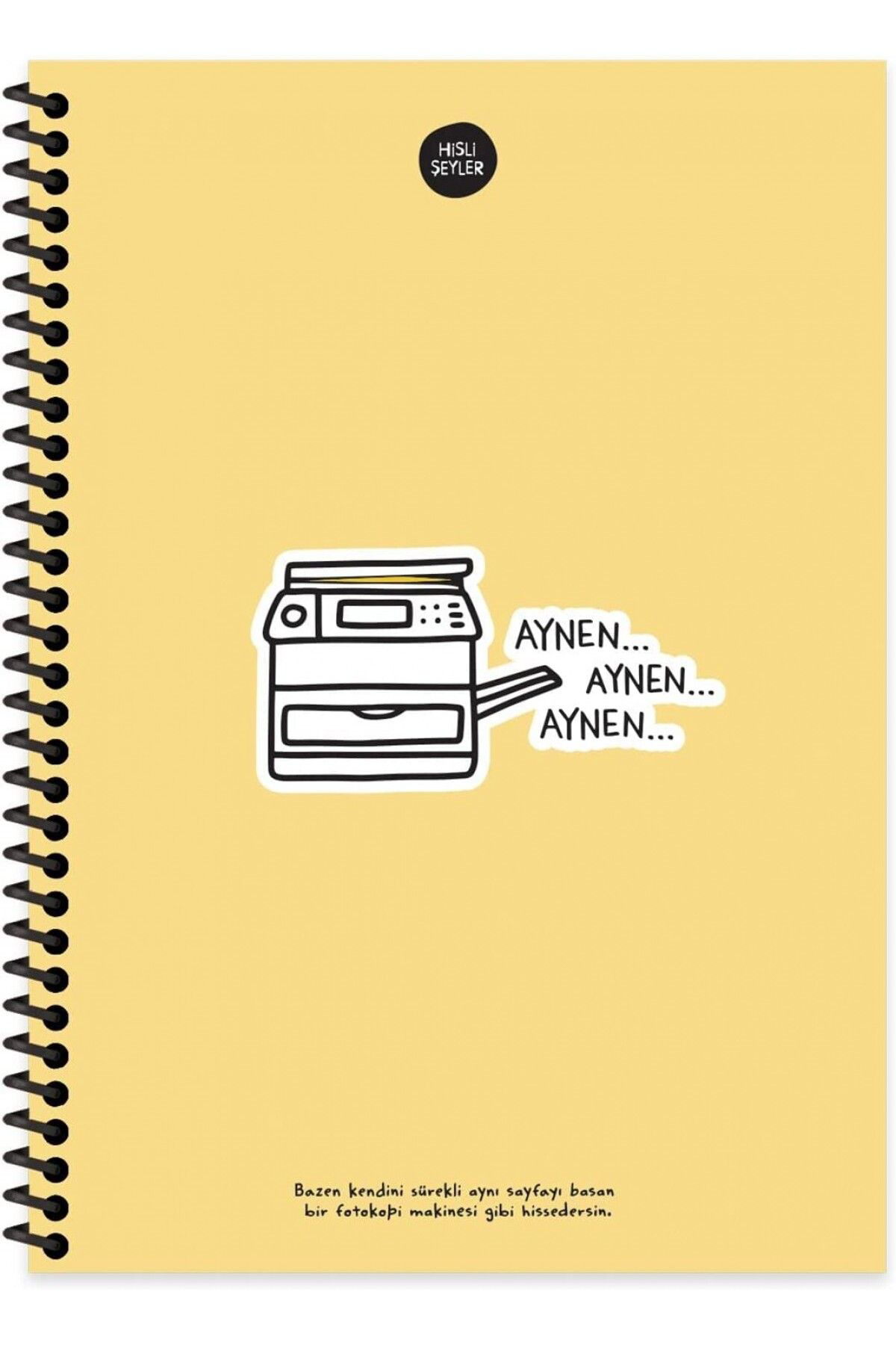 Keskin Color Hisli Şeyler 17X24cm Spiralli 100 Yp. Sert Kapak Çizgili Defter -