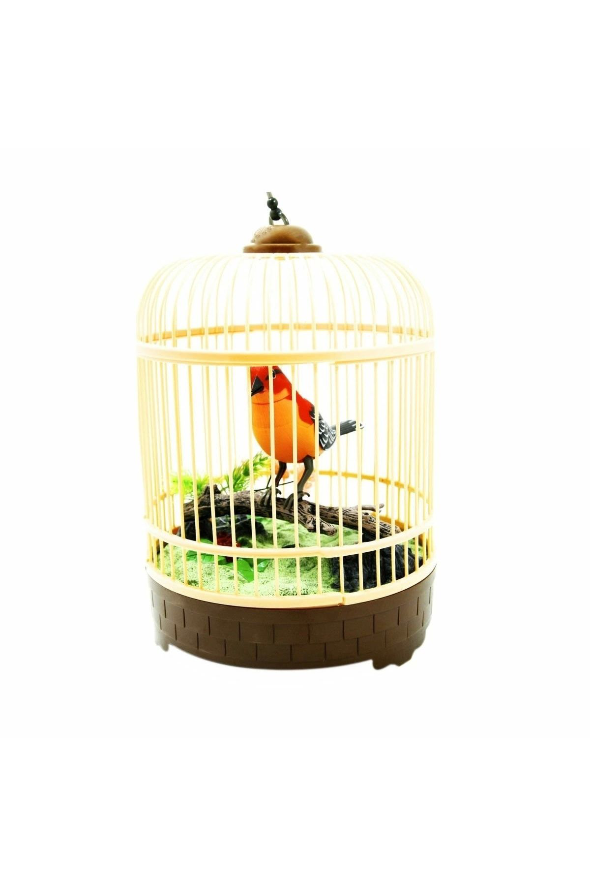 Vardem Oyuncak Hl507b-D-F Kafesli Büyük Kuş -Vardem