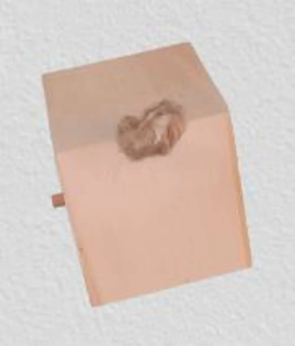 Hobi ERDL 90025 Dekoratif Model Minik Kuş Yuvası Ahşap HAM MDF El