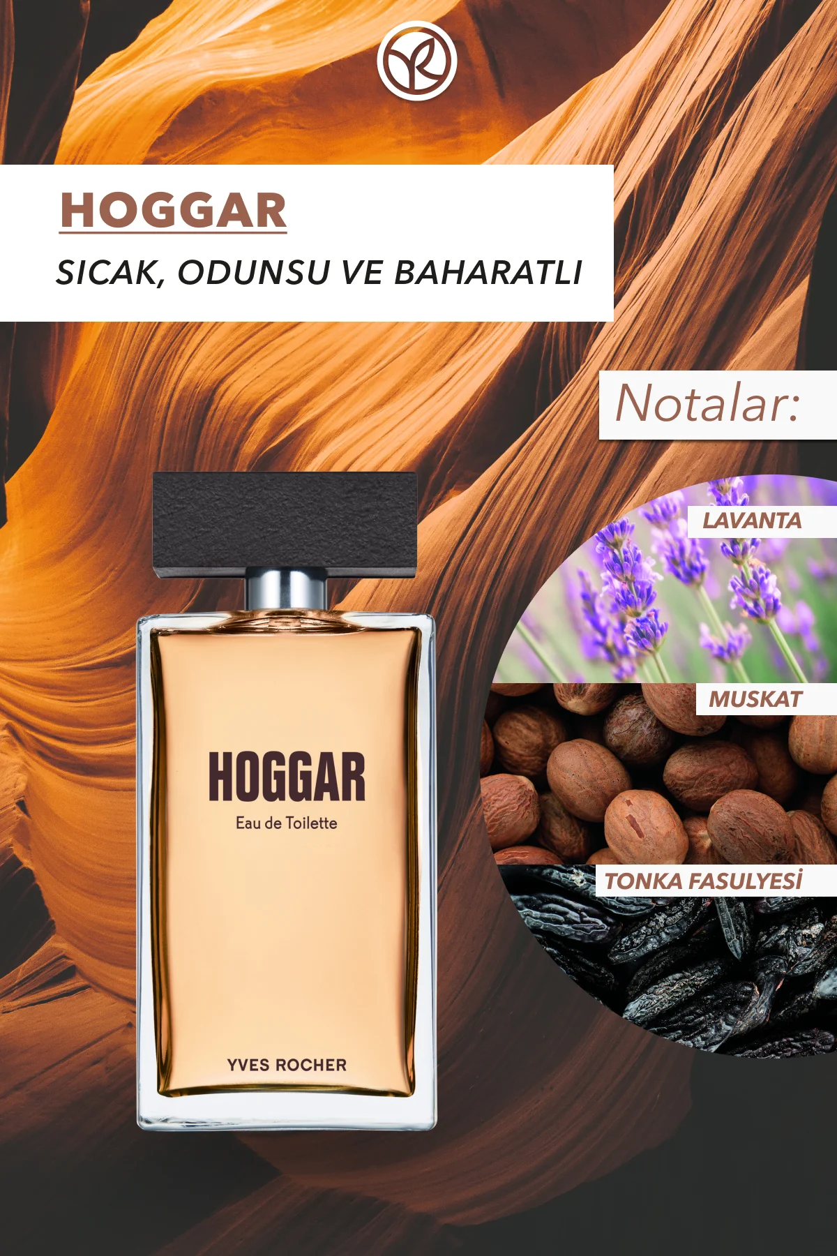 Hoggar EDT-Erkek Parfüm-100ml