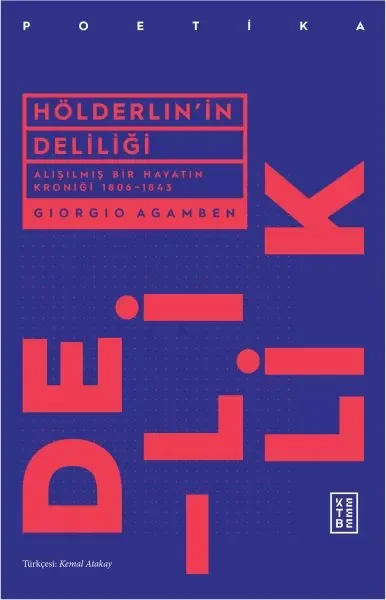 Hölderlin'in Deliliği Fiyatı, Yorumları ve Özellikleri