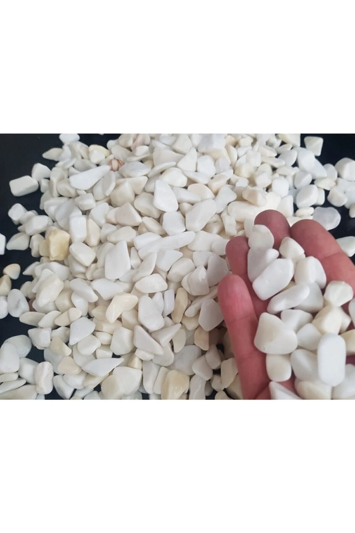 Home Beyaz Taş 2 Kg 1-2 Cm Beyaz Dolomit Taş Dere Taşı Çakıl Taşı Bahçe Süs Taşı Akvaryum Te Fiyatı, Yorumları ve Özellikleri