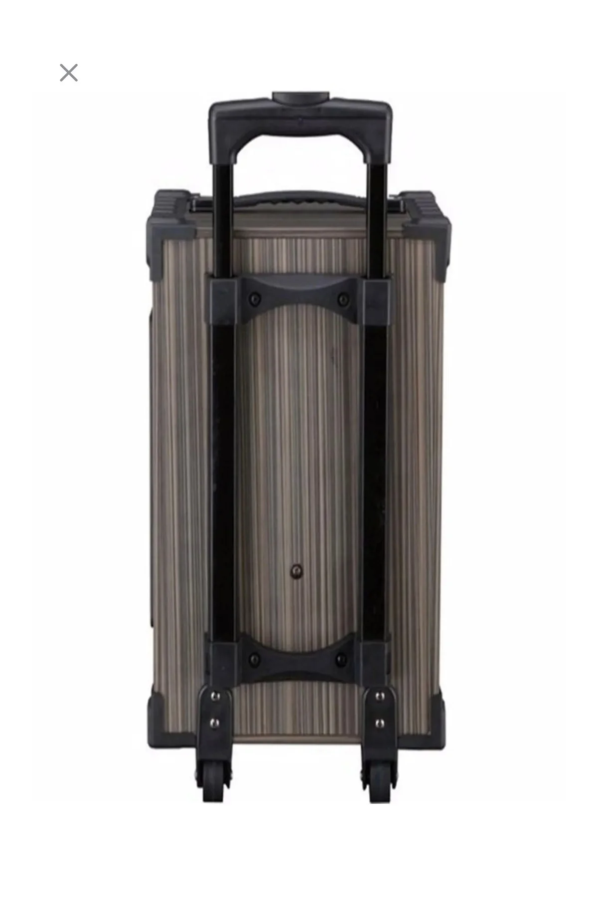 Hoparlör Çift Mikrofon, Bluetooth, USB, Sd Kart Kumandalı 100Watt Karaoke Sistemi Tekerlekli Amfi