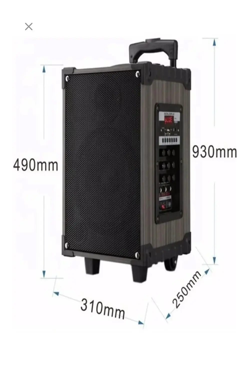 Hoparlör Çift Mikrofon, Bluetooth, USB, Sd Kart Kumandalı 100Watt