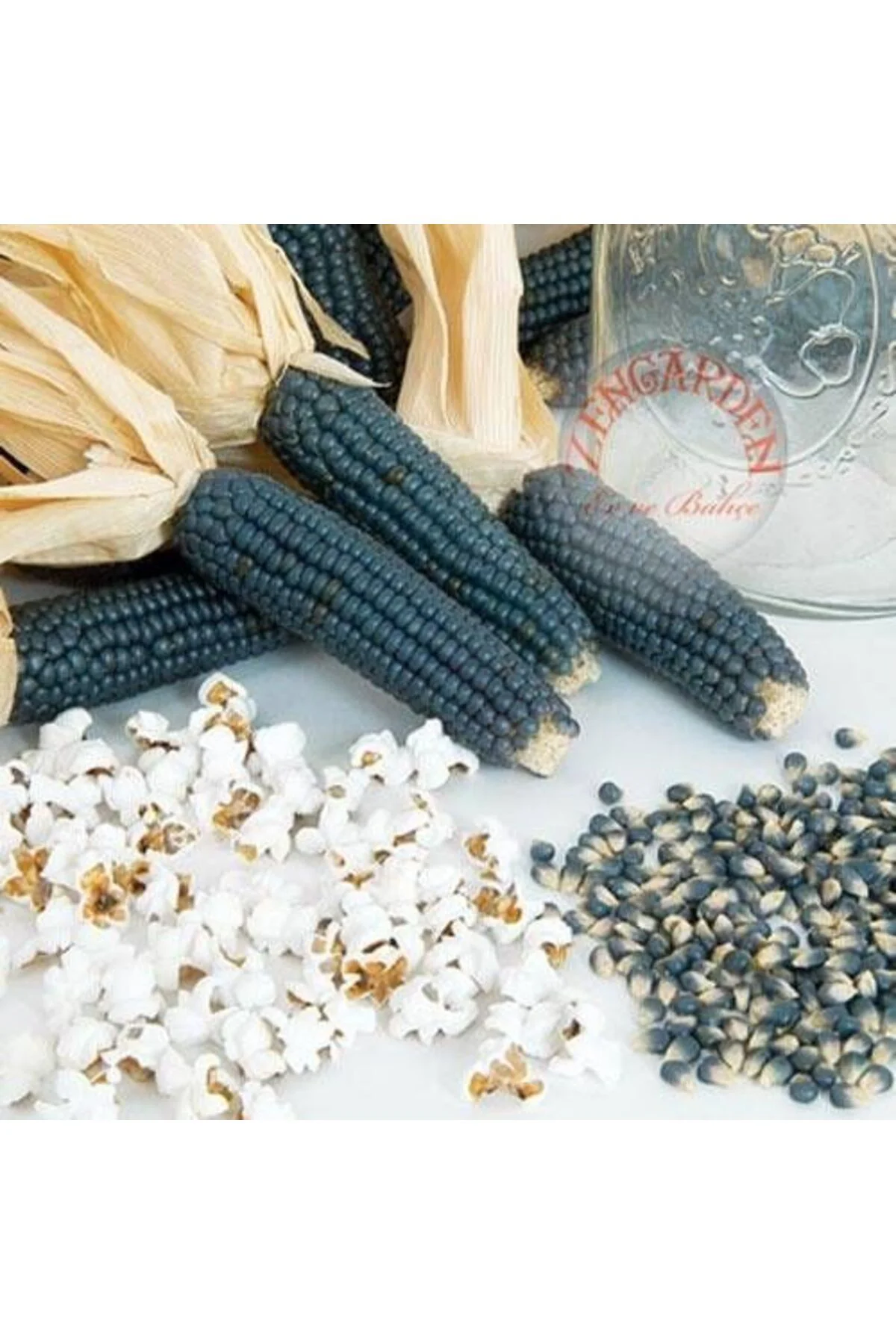 Hopi blue mavi mısır tohumu atalık kızılderili mısırı