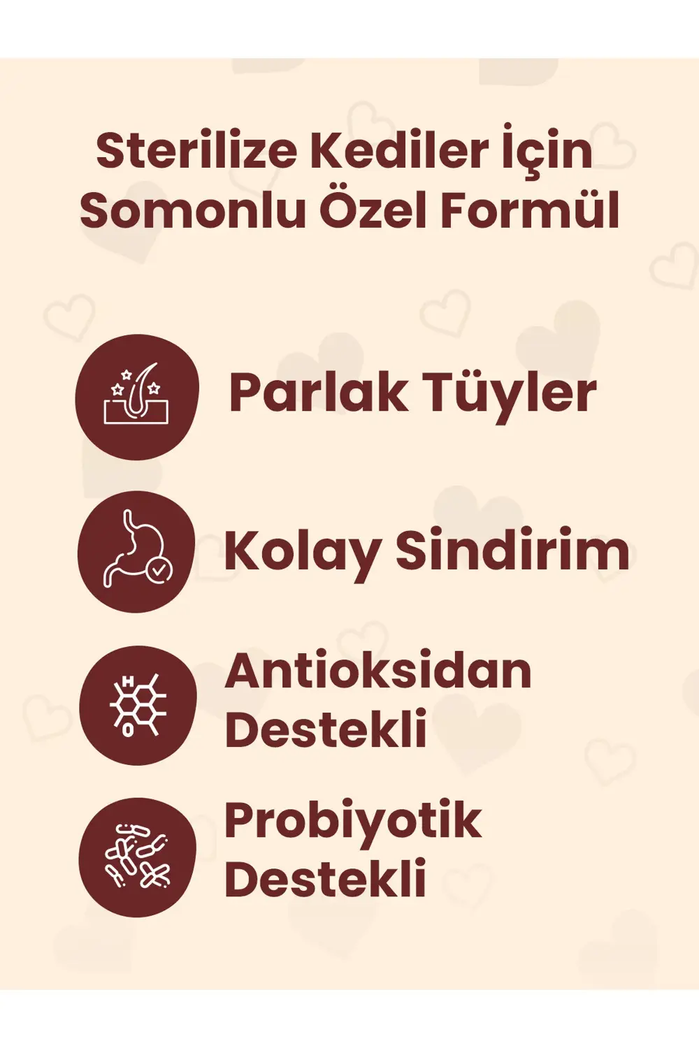 HOW MEOW KISIRLAŞTIRILMIŞ YETİŞKİN KEDİ KURU MAMASI SOMONLU 15 KG