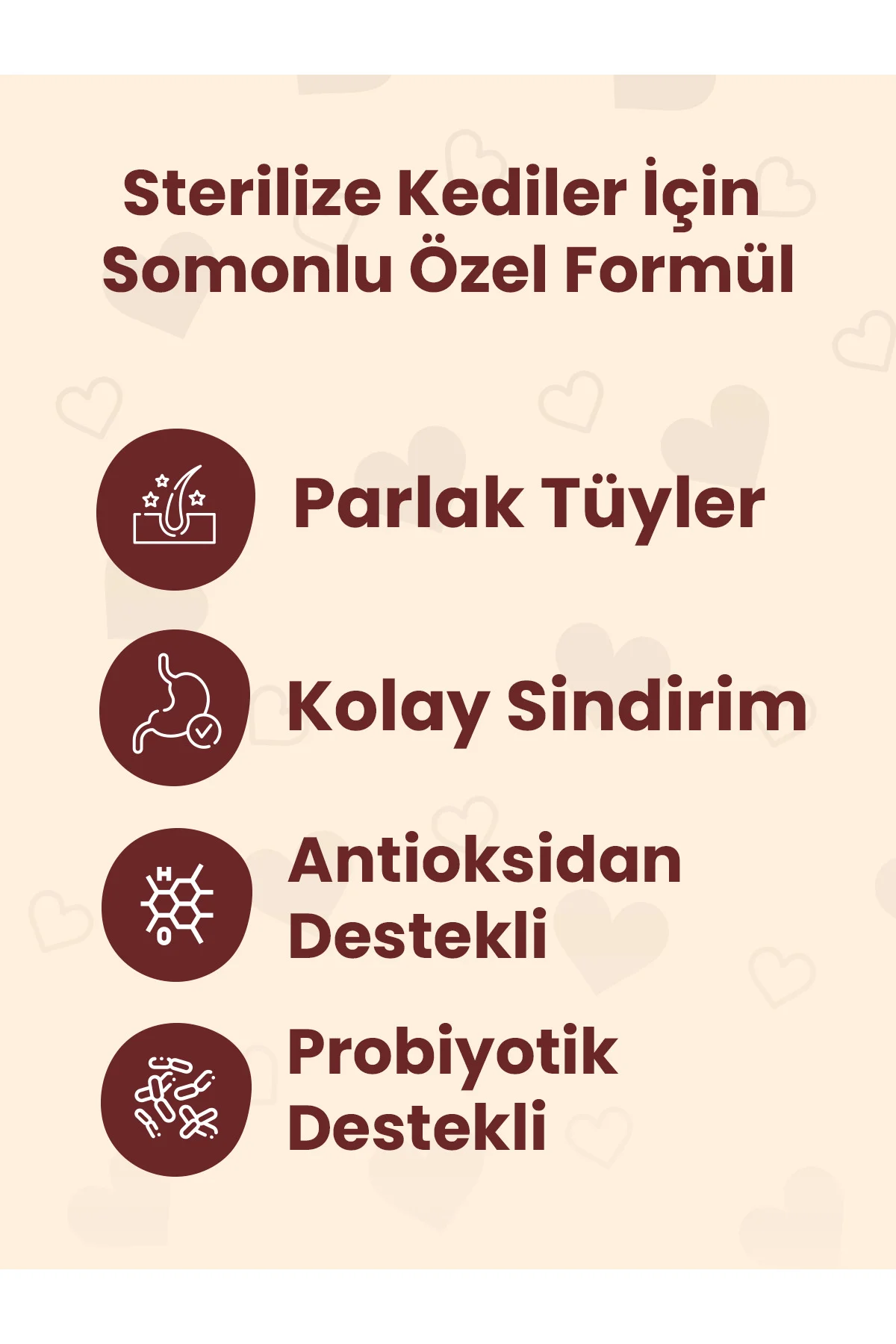 How Meow Somonlu Kısır Kedi Maması