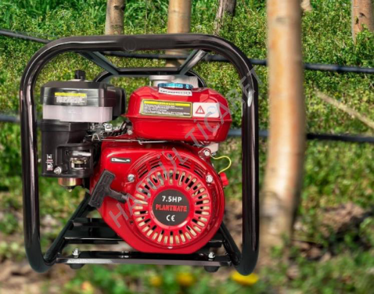 Hsgl  Plant Mate 7.5 Hp 2 İnç Benzinli Su Motoru  Güçlü Ve Etkili 