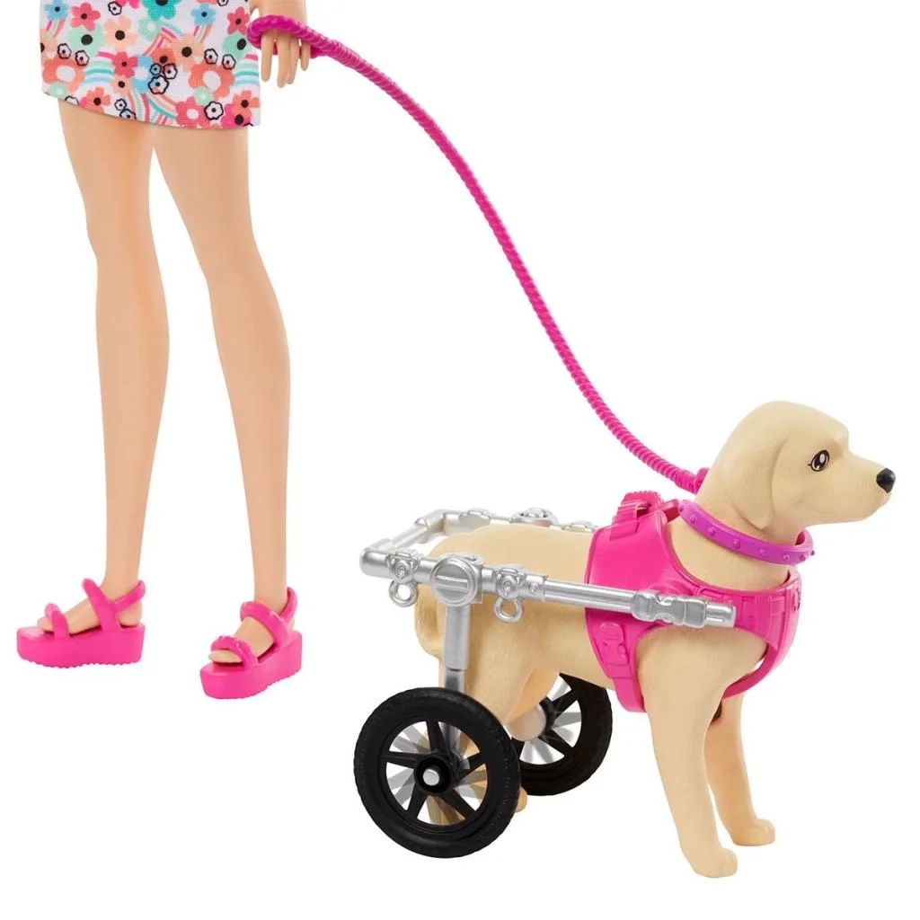 İthalat® HTK37  ve Engelli Köpeği Oyun Seti Fiyatı, Yorumları ve Özellikleri