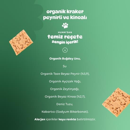 Humm Organik Peynirli Kinoalı Kraker 60 Gr Humm Organik Peynirli Kinoalı Kraker 60 Gr