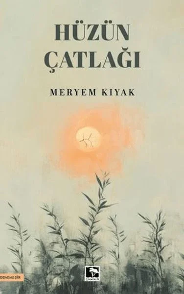 Hüzün Çatlağı Fiyatı, Yorumları ve Özellikleri