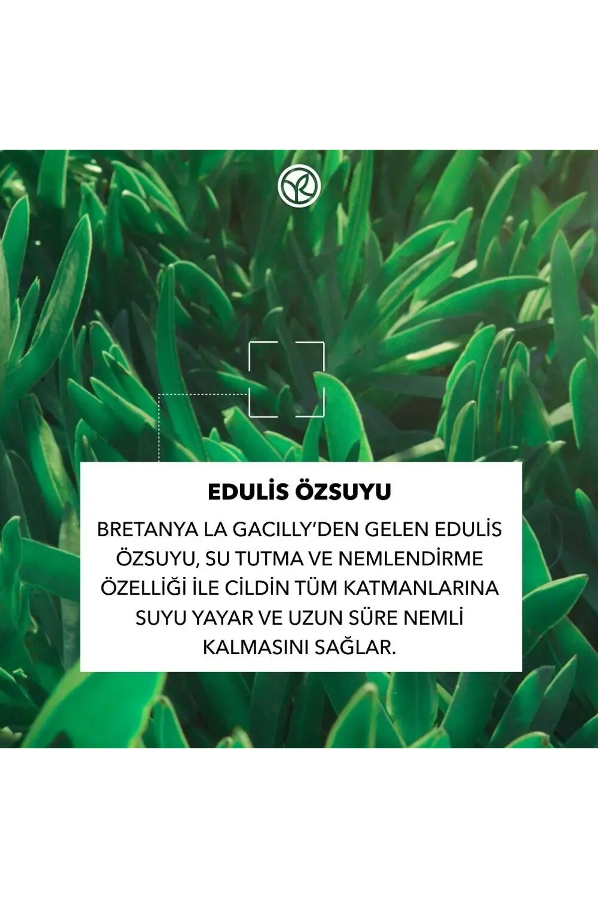 Hydra Vegetal 48 Saat Yoğun Nemlendirici Jel Krem 50 ml – Normal 