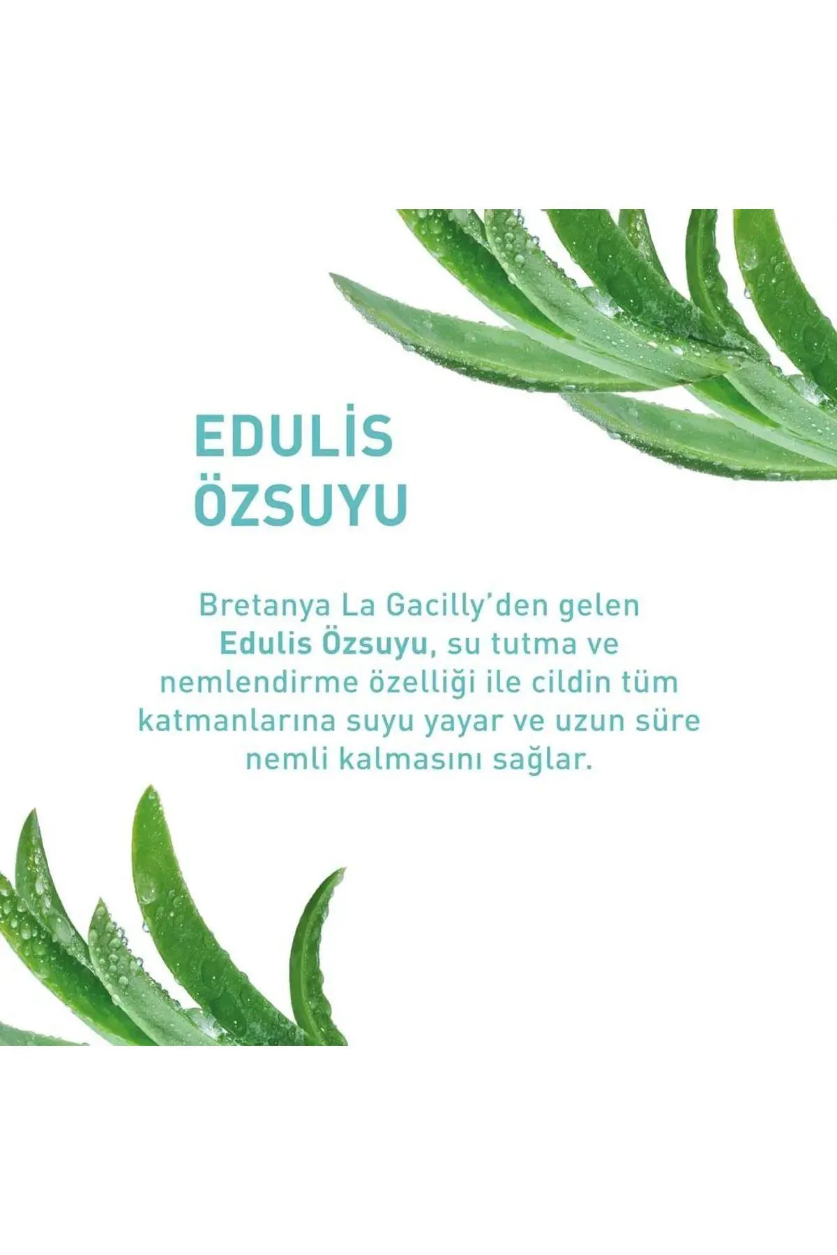 Hydra Vegetal Cilt Serumu Normal ve Kuru Cilt - Carest Cosmetic