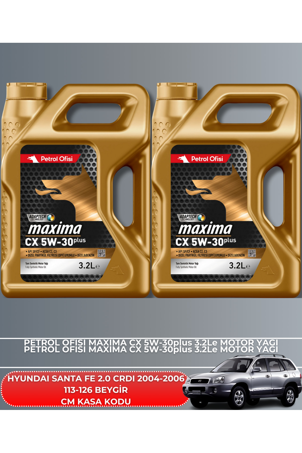 HYUNDAI SANTA FE 2.0 CRDI 2004-2005-2006 113-126 BEYGİR BAKIM SET