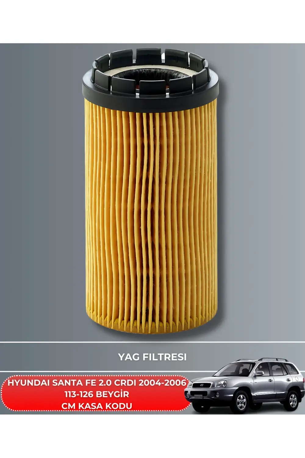 HYUNDAI SANTA FE 2.0 CRDI 2004-2005-2006 113-126 BEYGİR BAKIM SET