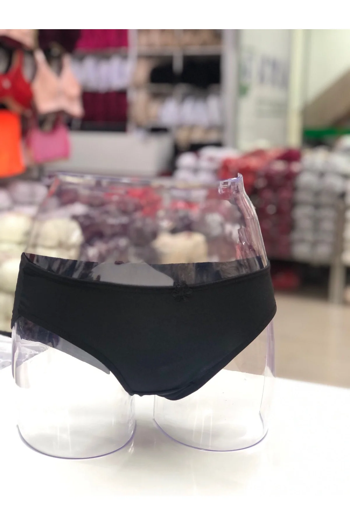 İç Giyim EBRU Micro Kumaş Slip Külot Eko Paket (6 ADET)