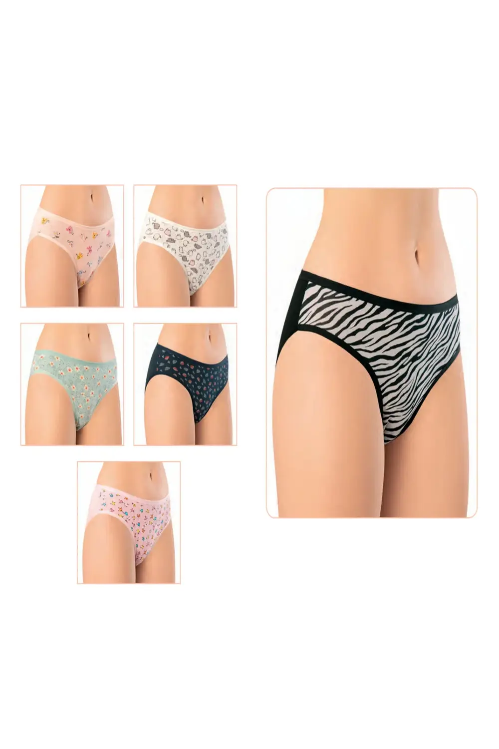 İç Giyim PENYE ELASTAN BASKILI BİKİNİ SLİP KÜLOT 6'LI PAKET