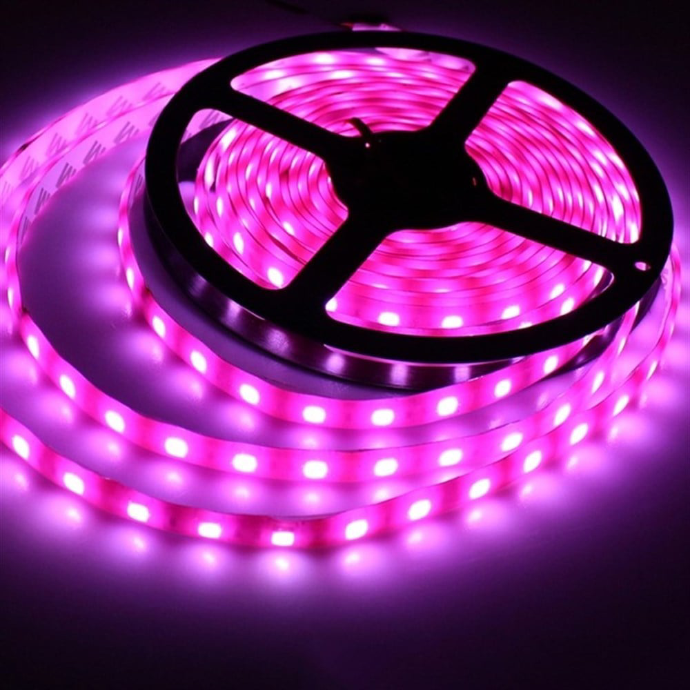 İÇ MEKAN LED 4040 PEMBE 5MT