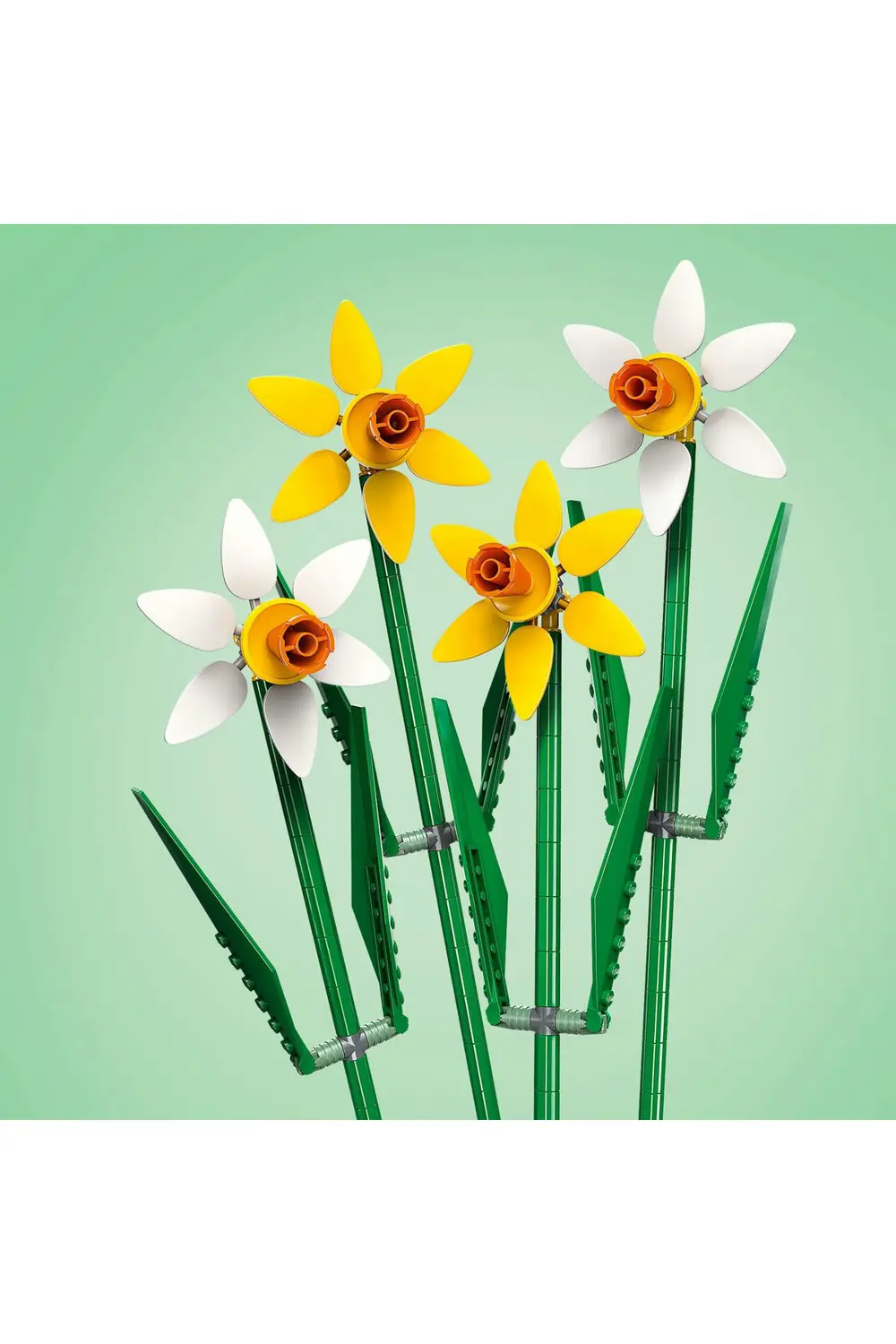 Icons Nergis 40747- Dekoratif, Koleksiyonluk ve Sergilenebilir Çi