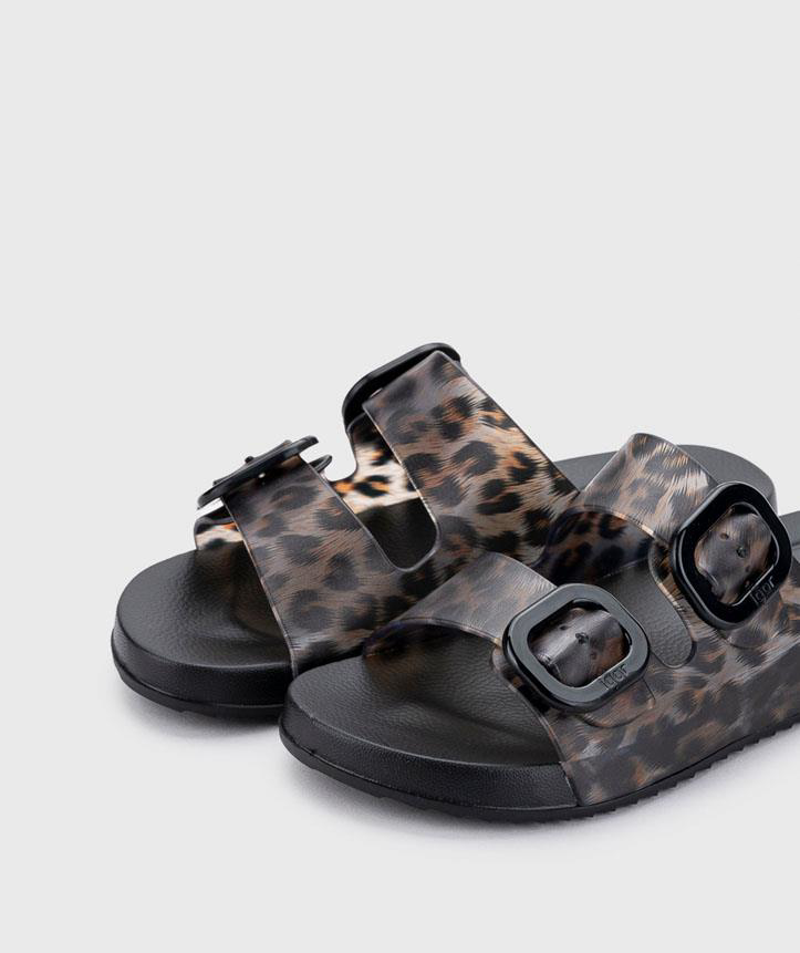 İgor  Habana Brillo Leo Negro/Black S10336-002