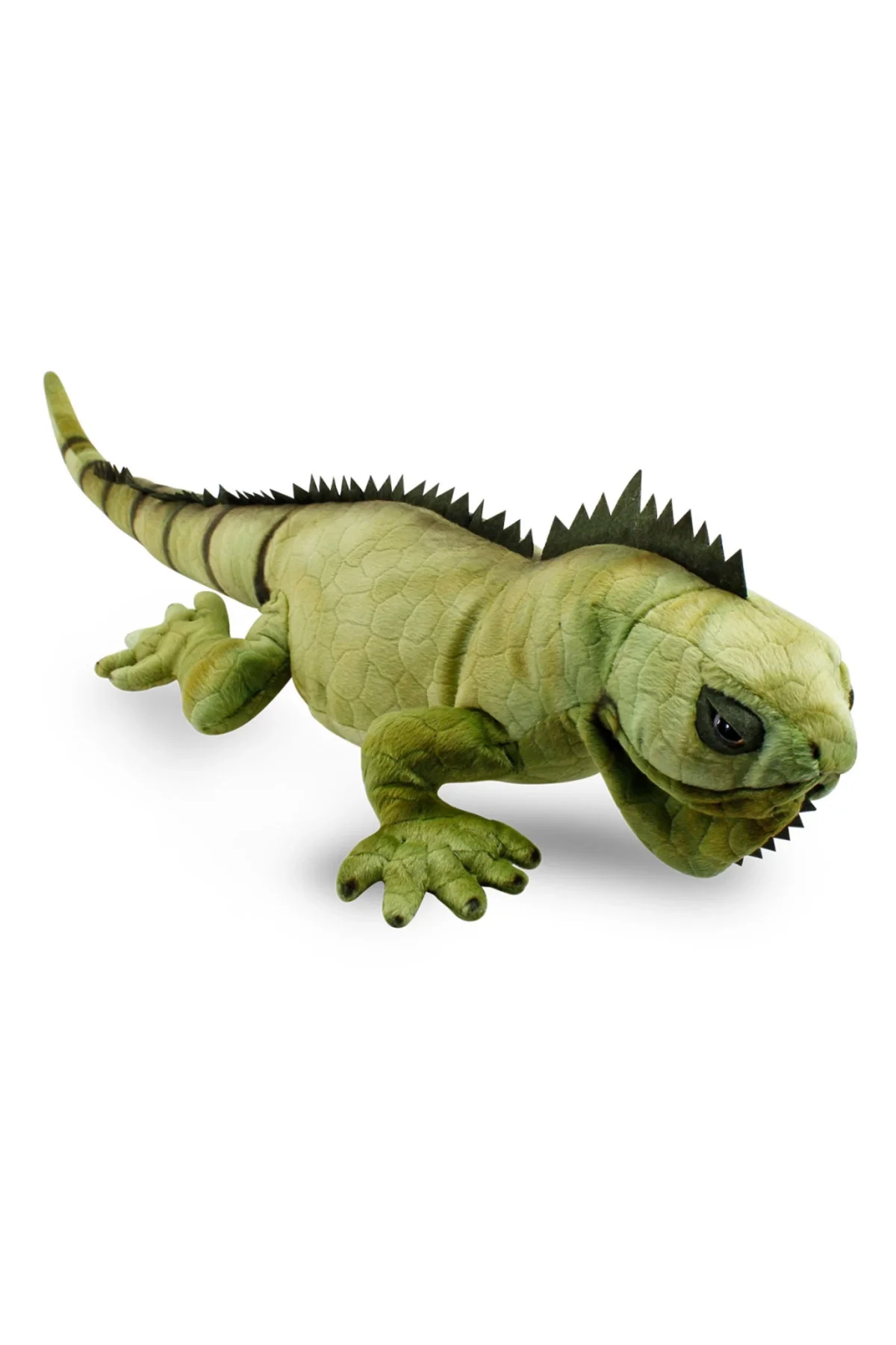 İguana 66 cm