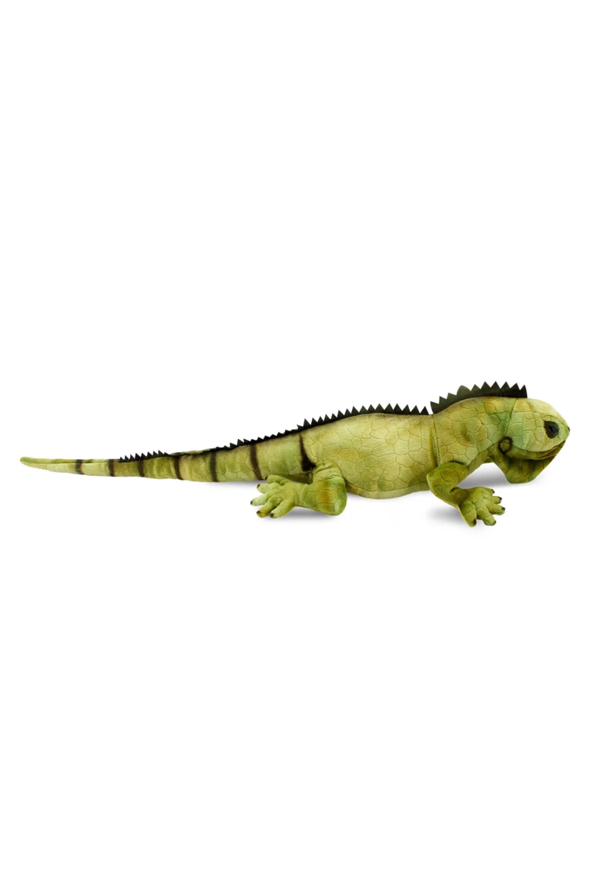 İguana 66 cm