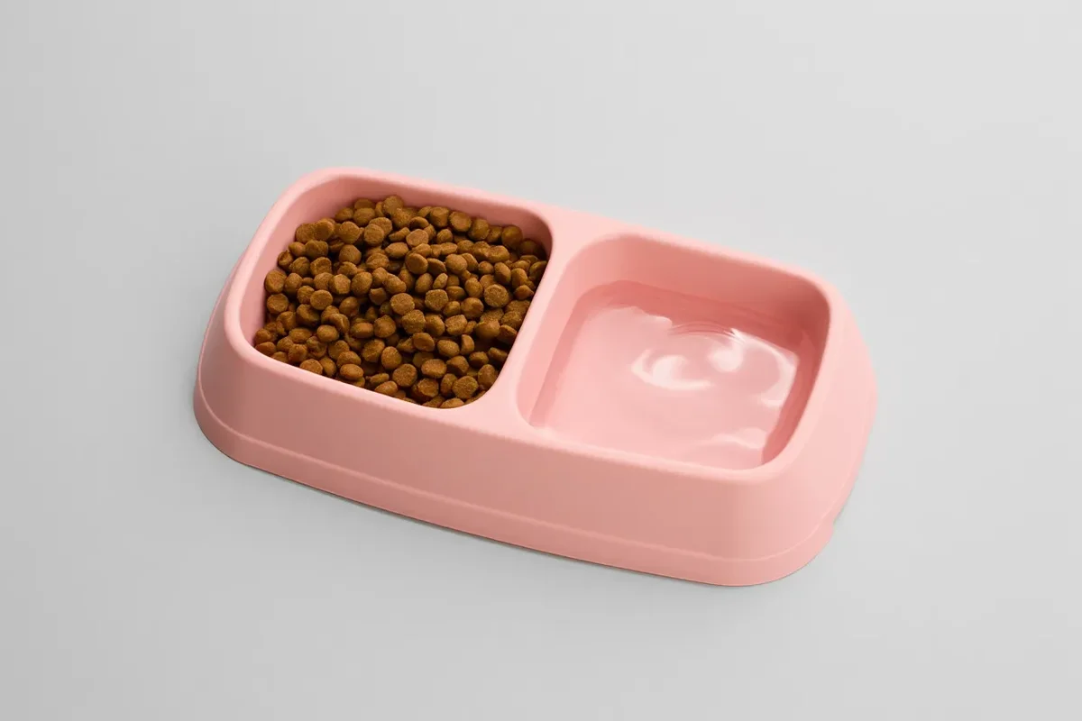 İkili Büyük Kedi Köpek Mama Kabı Ayrı Bölmeli Tasarım Pratik Besl