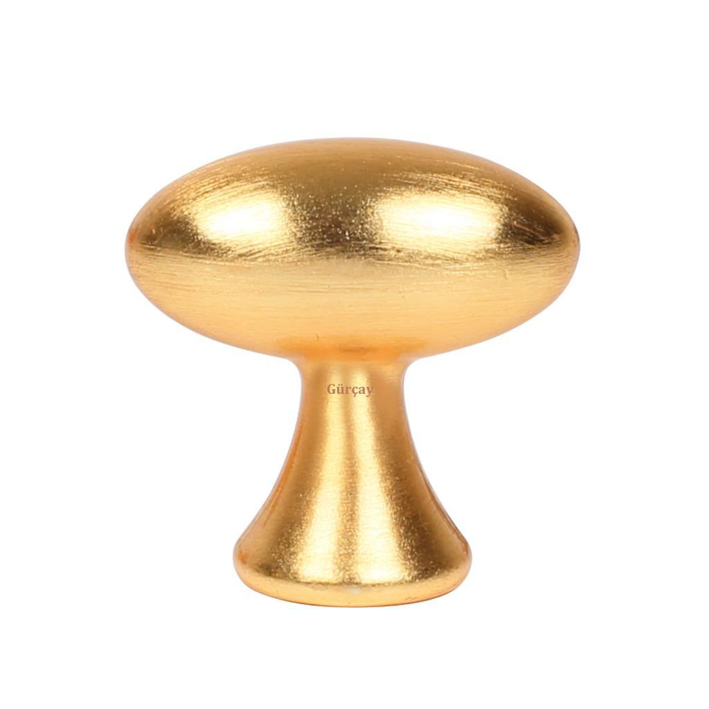 Gürçay Hırdavat İlıca Kulp Mat Altın Düğme (2 Adet)