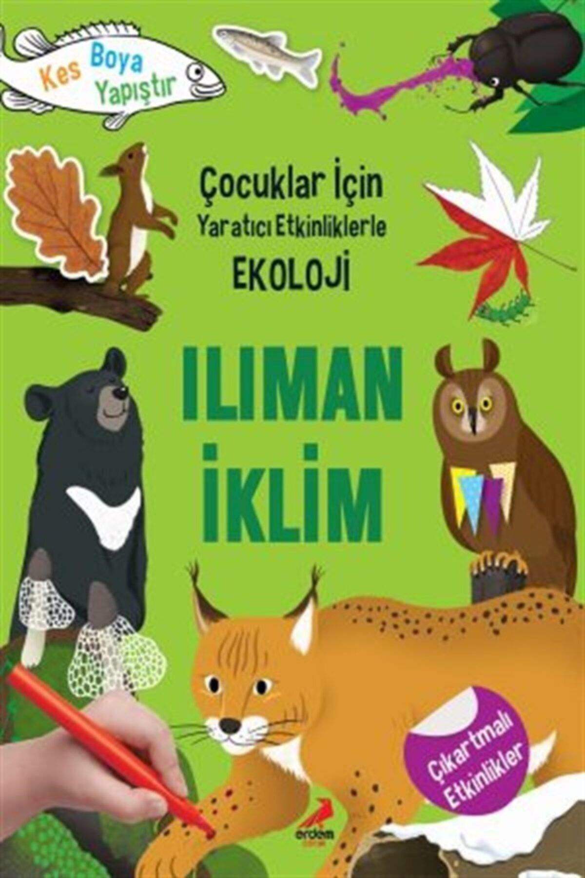 Ilıman İklim - Çocuklar İçin Yaratıcı Etkinliklerle Ekoloji / Erd