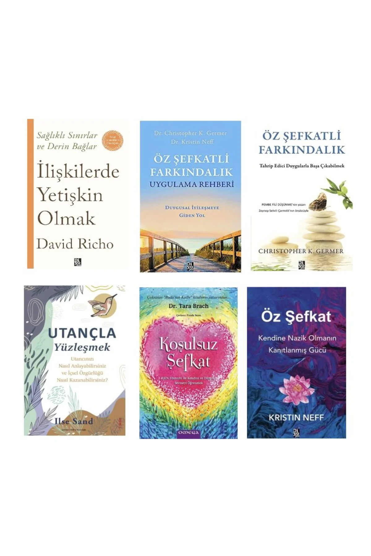 iliskilerde yetiskin olmak + ozsefkatli farkindalik + uygulamali rehberi + utancla yuzlesmek + kosu