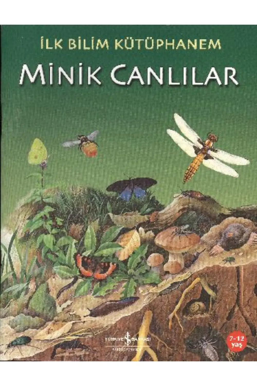 İlk Bilim Kütüphanem Minik Canlılar